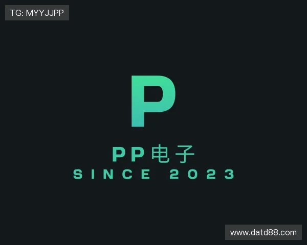 关于pp电子